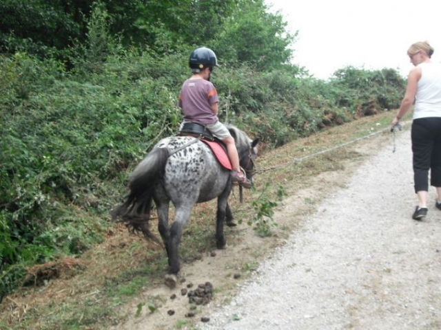  Handponyreiten in der 64 